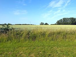 View from van over fields