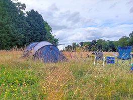 Partially sheltered from the wind by trees