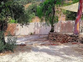 One of the parcels of the camping area