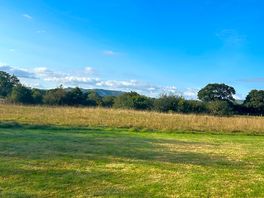 Meadow view - great for watching stars at night