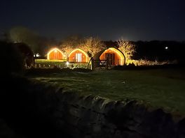 Stunning late night dog walk