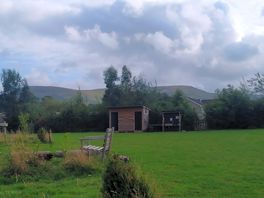 Lush views