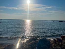Am meer