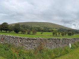 Campsite view