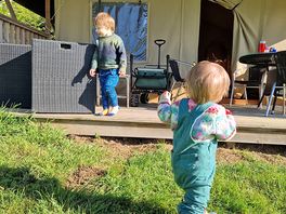 Adventures in the safari tent
