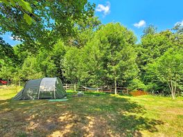 Partially shaded grass pitches