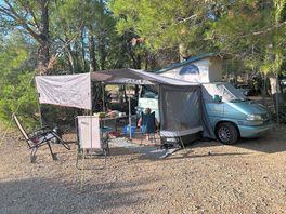 Good size pitches with mature trees for shelter