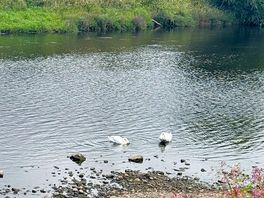 River