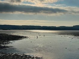 Nearby beach