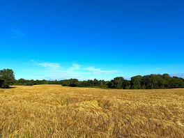 Walk across fields