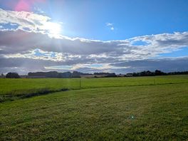 View from tent