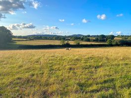 Local fields