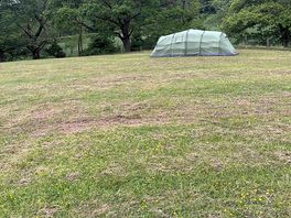 Quiet, spacious site