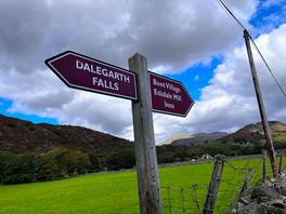 Local walk