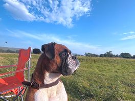 Dave enjoying the views