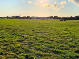 Camping field