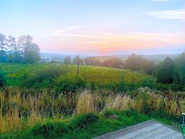 Our view