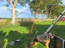 Lovely morning view. dog friendly