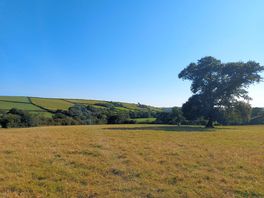 View from tent.