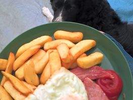 Took the air fryer due to weather was brilliant idea.
