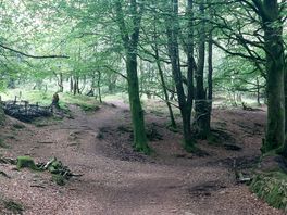 Walk view