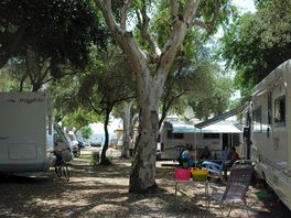 Pitches under the trees