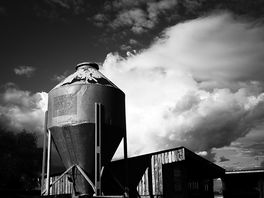 The farm