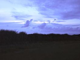 Campsite night