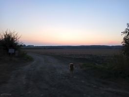 Further footpaths