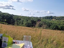 Views ❤️