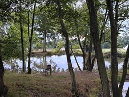 Pond