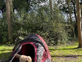 Tent site