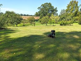 In the shade