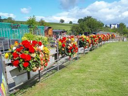 The flower-filled entrance