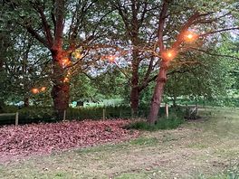 Really lovely lighting