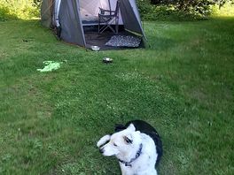 Very peaceful