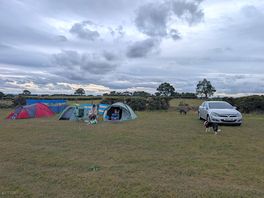 Campsite