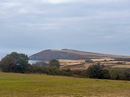 View from out tent