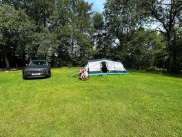 Picked our own pitch. lots of space and lots of areas to choose from.