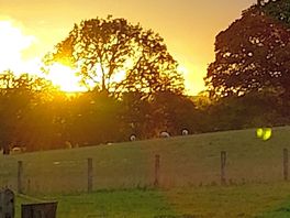 Beautiful sunset on the campsite