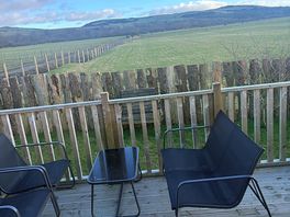 The view