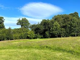View of camping field