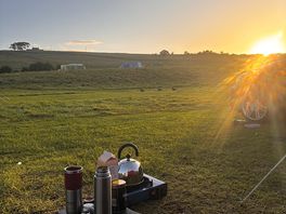 Morning coffee