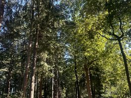 Gorgeous walks and bike rides!