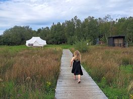 Board walk to the meadow