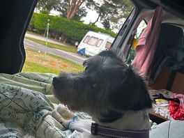 View from our van