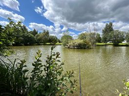 View from peg 8