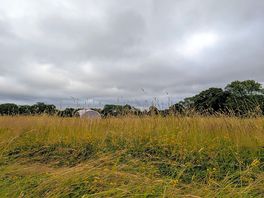 Cut grass pitches surrounded by long grass, beautiful.