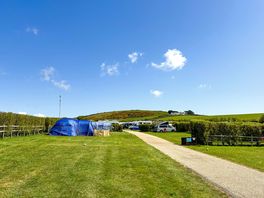 Non-electric pitches