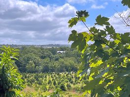 🥾walking views on the way to portreath